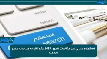 استعلام مجاني عن مخالفات المرور 2025 برقم اللوحة عبر بوابة مصر الرقمية
